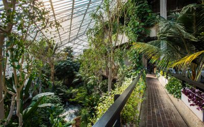 Top 11 enchanting nature inspired wedding venues in South London for garden lovers